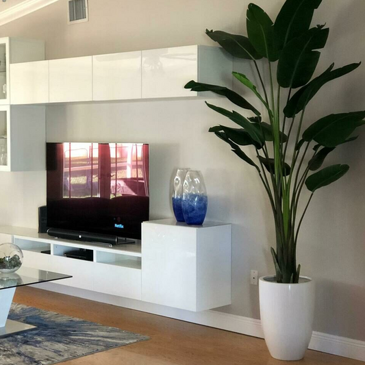 2.70 m Bird of Paradise with Ben Planter in Glossy White